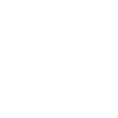 The Bhangra Academy