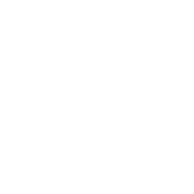 The Bhangra Academy